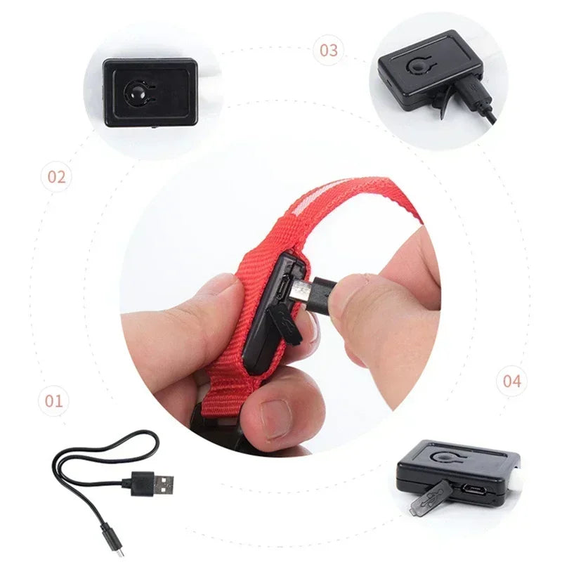 USB Rechargeable LED Dog Collar – Night Visibility & Anti-Lost Safety Harness