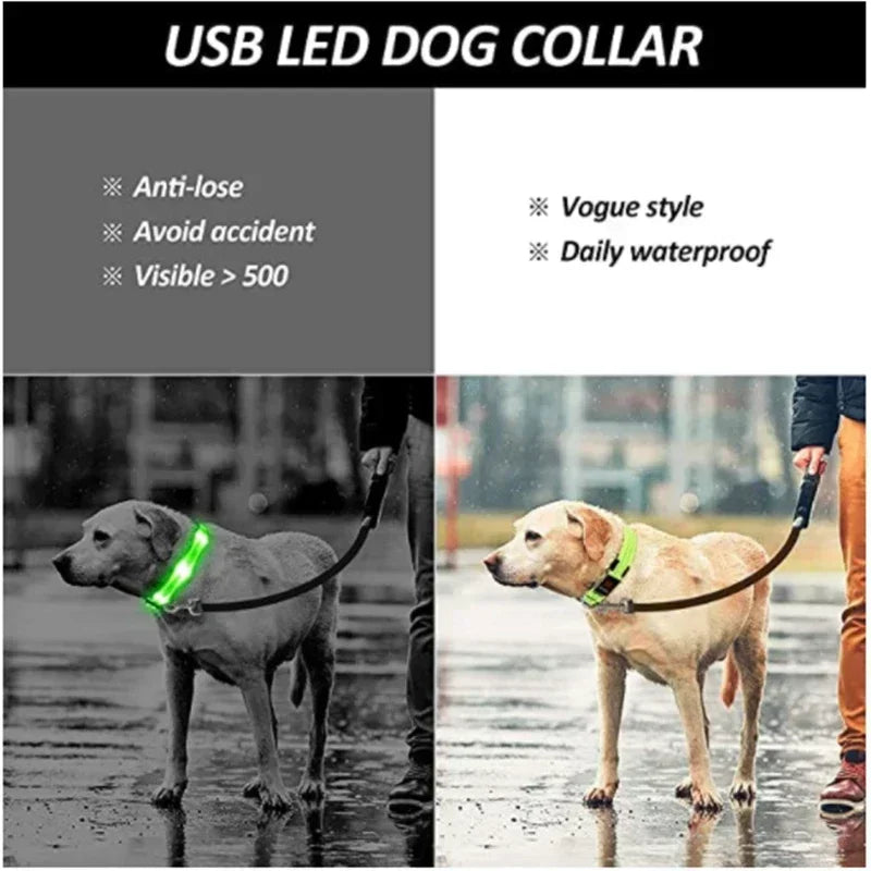 USB Rechargeable LED Dog Collar – Night Visibility & Anti-Lost Safety Harness