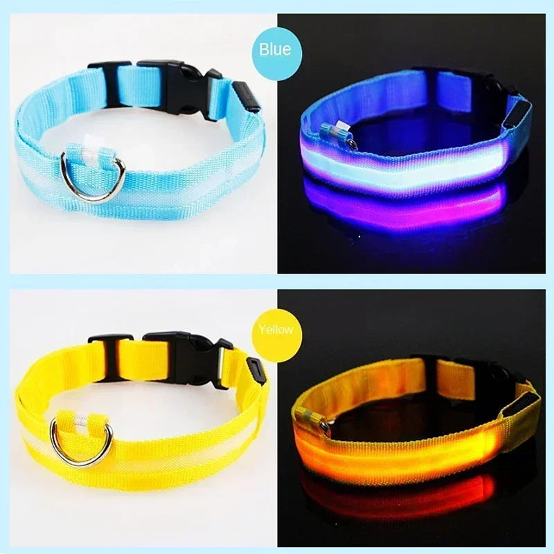 USB Rechargeable LED Dog Collar – Night Visibility & Anti-Lost Safety Harness