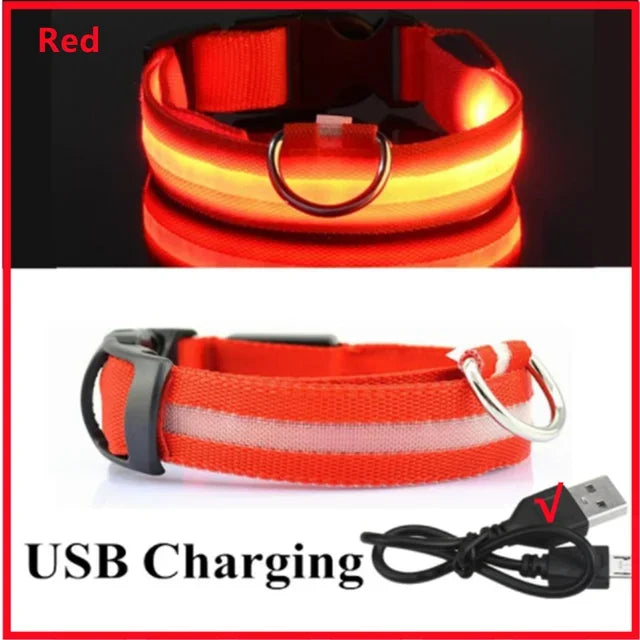 USB Rechargeable LED Dog Collar – Night Visibility & Anti-Lost Safety Harness