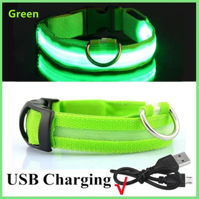 USB Rechargeable LED Dog Collar – Night Visibility & Anti-Lost Safety Harness