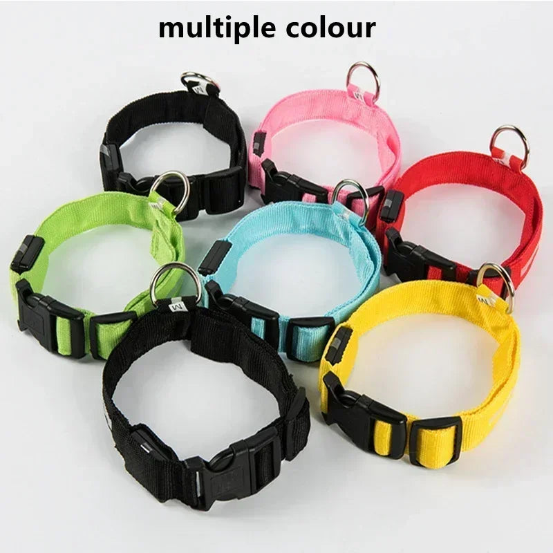 USB Rechargeable LED Dog Collar – Night Visibility & Anti-Lost Safety Harness