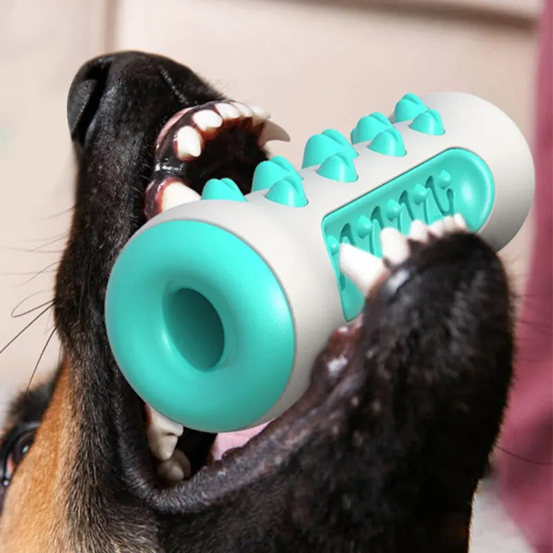 Dog Teething Toy – Chewable TPR Toothbrush Stick for Dental Cleaning