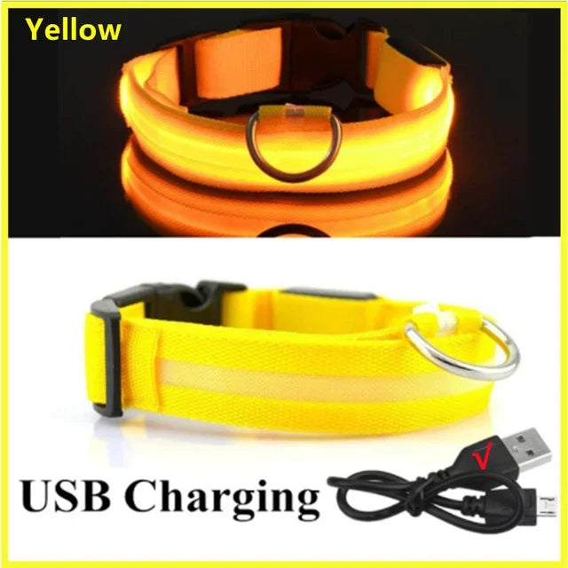 USB Rechargeable LED Dog Collar – Night Visibility & Anti-Lost Safety Harness