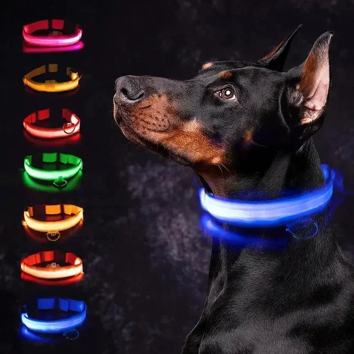 USB Rechargeable LED Dog Collar – Night Visibility & Anti-Lost Safety Harness