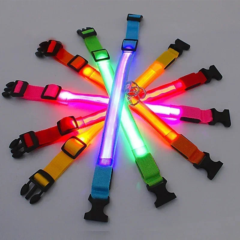 USB Rechargeable LED Dog Collar – Night Visibility & Anti-Lost Safety Harness