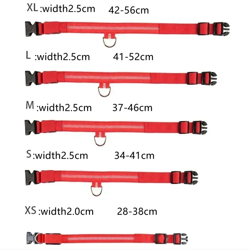 USB Rechargeable LED Dog Collar – Night Visibility & Anti-Lost Safety Harness