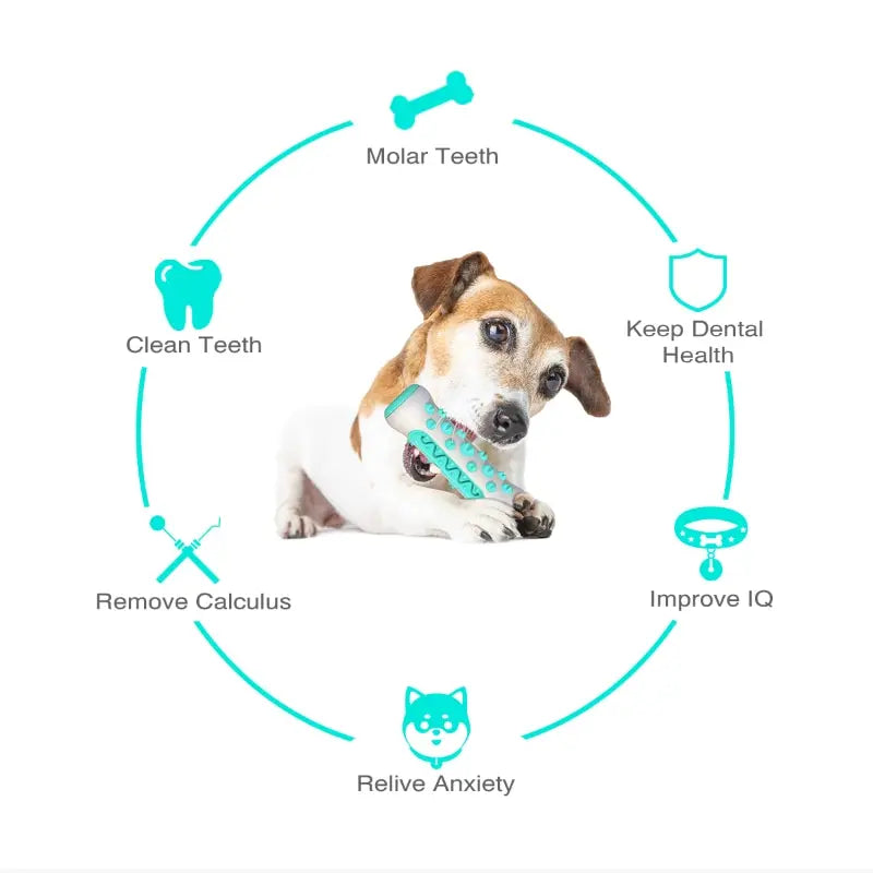 Dog Teething Toy – Chewable TPR Toothbrush Stick for Dental Cleaning