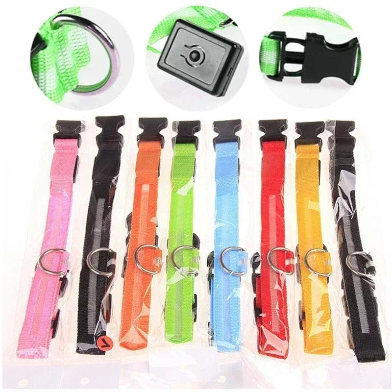 USB Rechargeable LED Dog Collar – Night Visibility & Anti-Lost Safety Harness