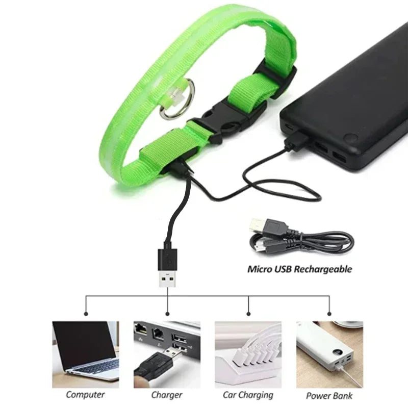 USB Rechargeable LED Dog Collar – Night Visibility & Anti-Lost Safety Harness
