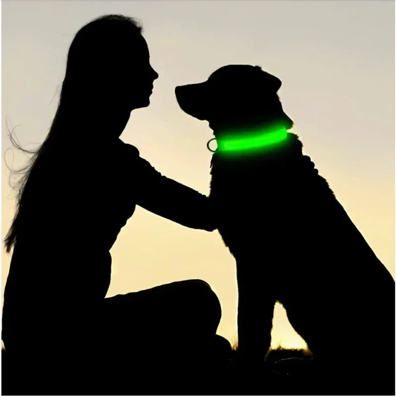 USB Rechargeable LED Dog Collar – Night Visibility & Anti-Lost Safety Harness