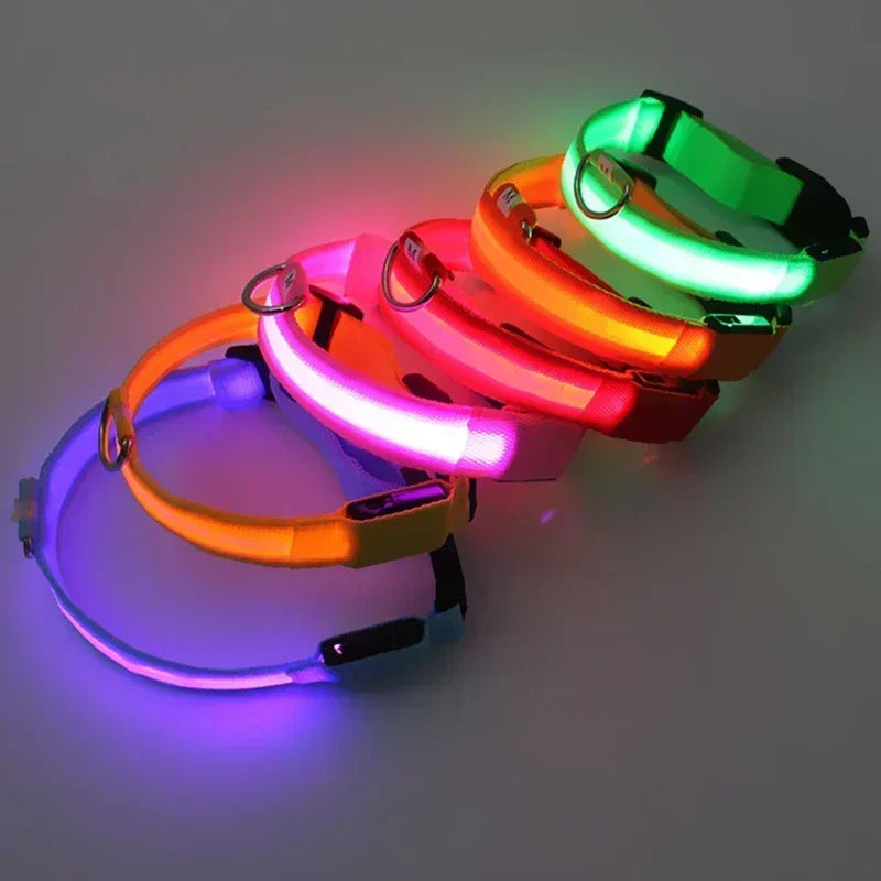 USB Rechargeable LED Dog Collar – Night Visibility & Anti-Lost Safety Harness