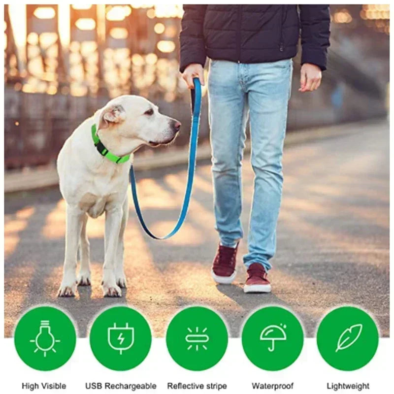 USB Rechargeable LED Dog Collar – Night Visibility & Anti-Lost Safety Harness