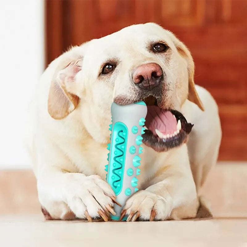 Dog Teething Toy – Chewable TPR Toothbrush Stick for Dental Cleaning