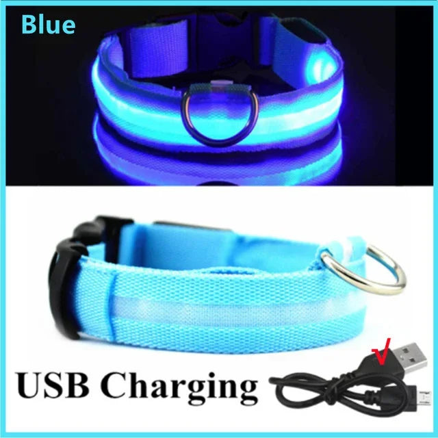 USB Rechargeable LED Dog Collar – Night Visibility & Anti-Lost Safety Harness