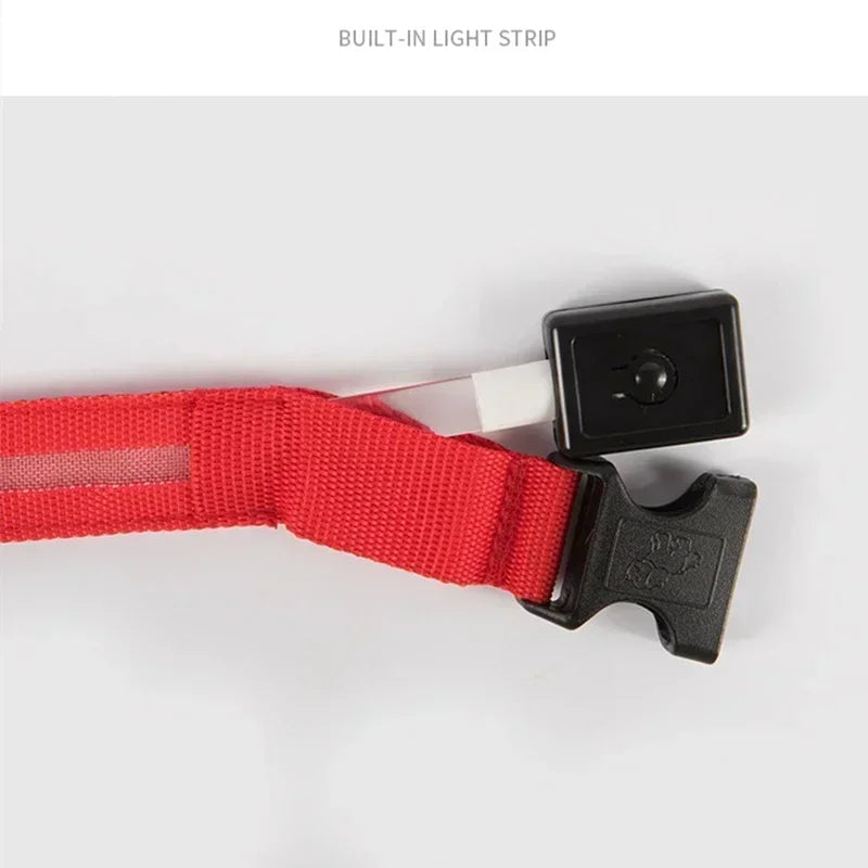 USB Rechargeable LED Dog Collar – Night Visibility & Anti-Lost Safety Harness