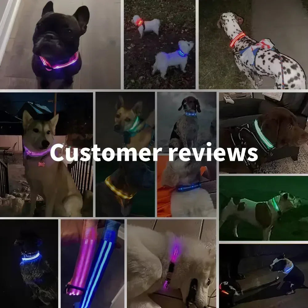 USB Rechargeable LED Dog Collar – Night Visibility & Anti-Lost Safety Harness