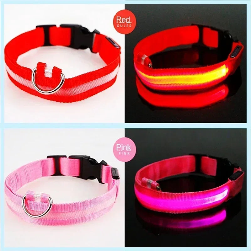 USB Rechargeable LED Dog Collar – Night Visibility & Anti-Lost Safety Harness