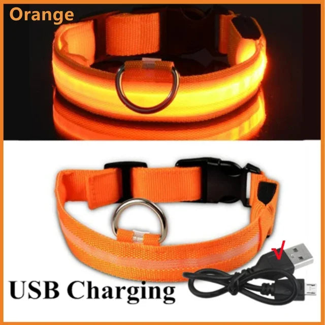 USB Rechargeable LED Dog Collar – Night Visibility & Anti-Lost Safety Harness