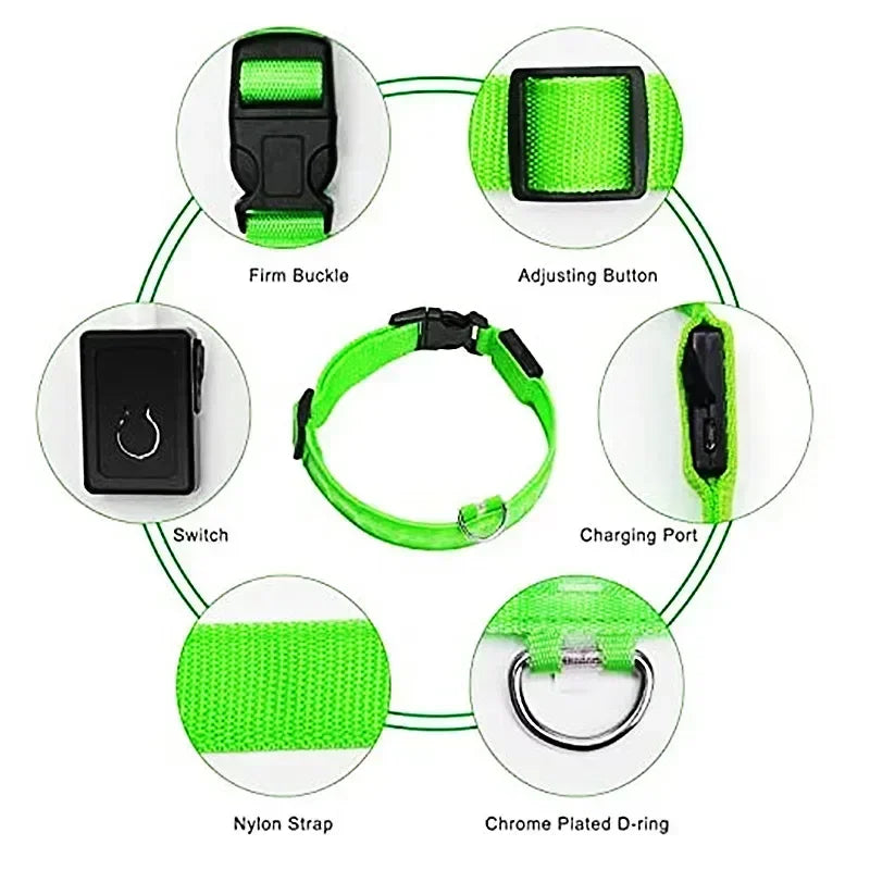 USB Rechargeable LED Dog Collar – Night Visibility & Anti-Lost Safety Harness