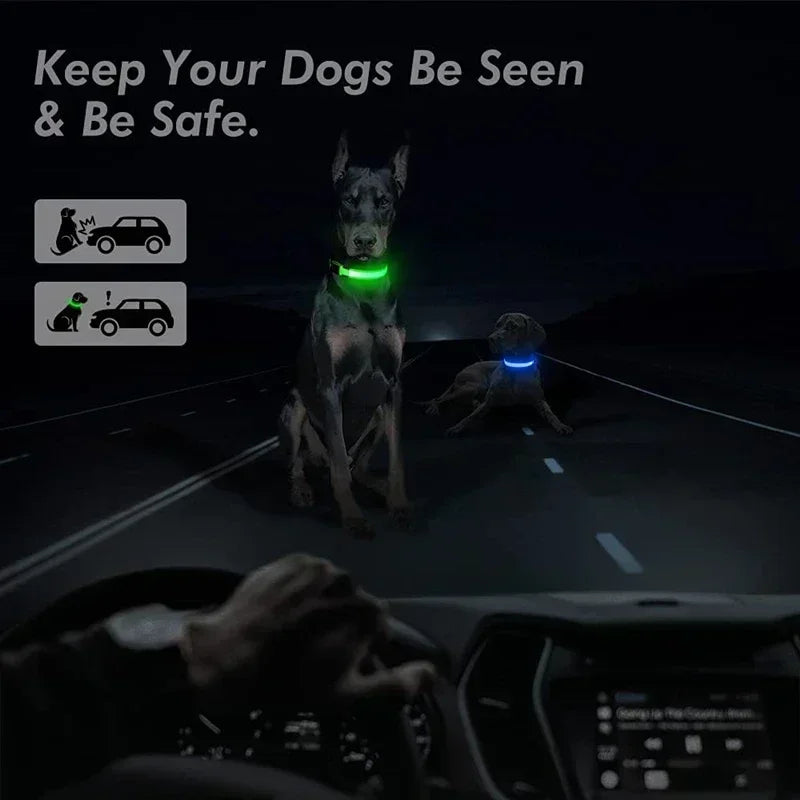 USB Rechargeable LED Dog Collar – Night Visibility & Anti-Lost Safety Harness