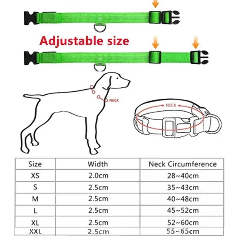 USB Rechargeable LED Dog Collar – Night Visibility & Anti-Lost Safety Harness