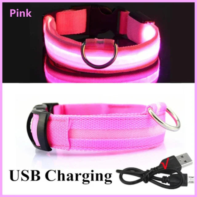 USB Rechargeable LED Dog Collar – Night Visibility & Anti-Lost Safety Harness