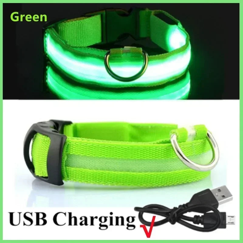 USB Rechargeable LED Dog Collar – Night Visibility & Anti-Lost Safety Harness