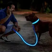 USB Rechargeable LED Dog Collar – Night Visibility & Anti-Lost Safety Harness
