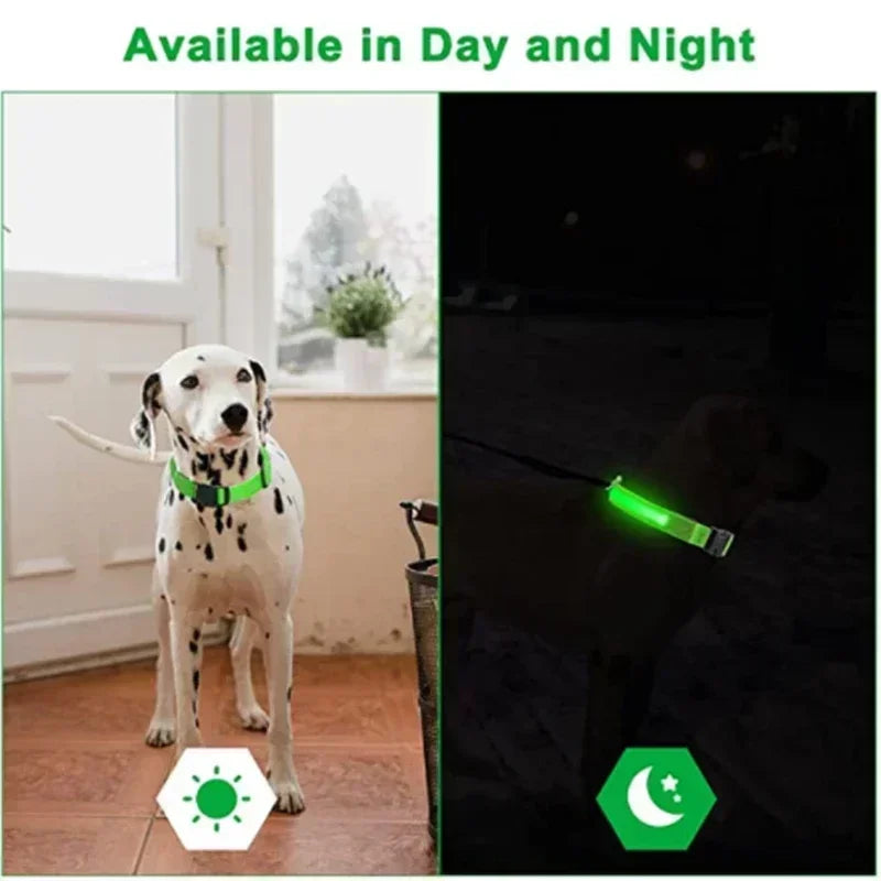 USB Rechargeable LED Dog Collar – Night Visibility & Anti-Lost Safety Harness
