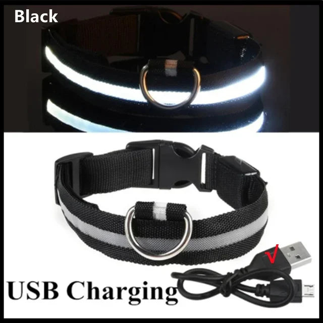 USB Rechargeable LED Dog Collar – Night Visibility & Anti-Lost Safety Harness
