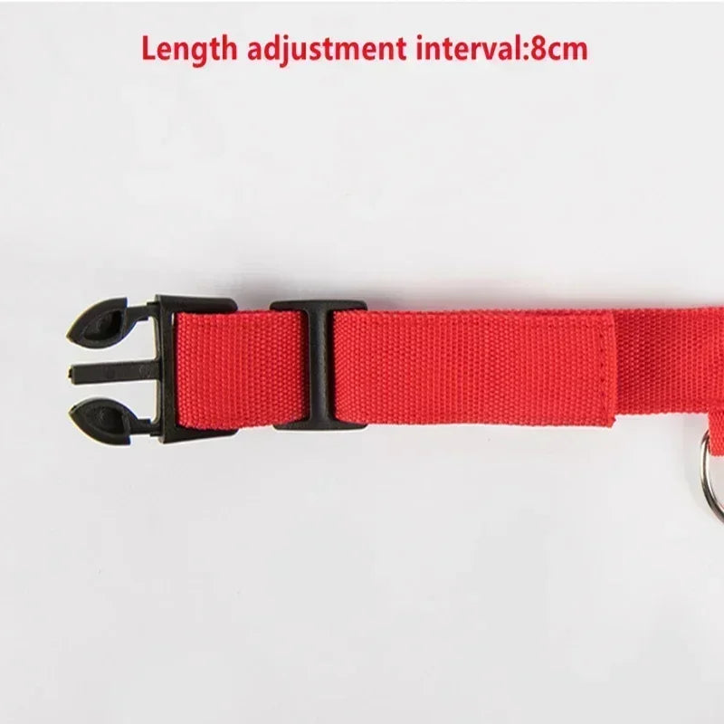 USB Rechargeable LED Dog Collar – Night Visibility & Anti-Lost Safety Harness