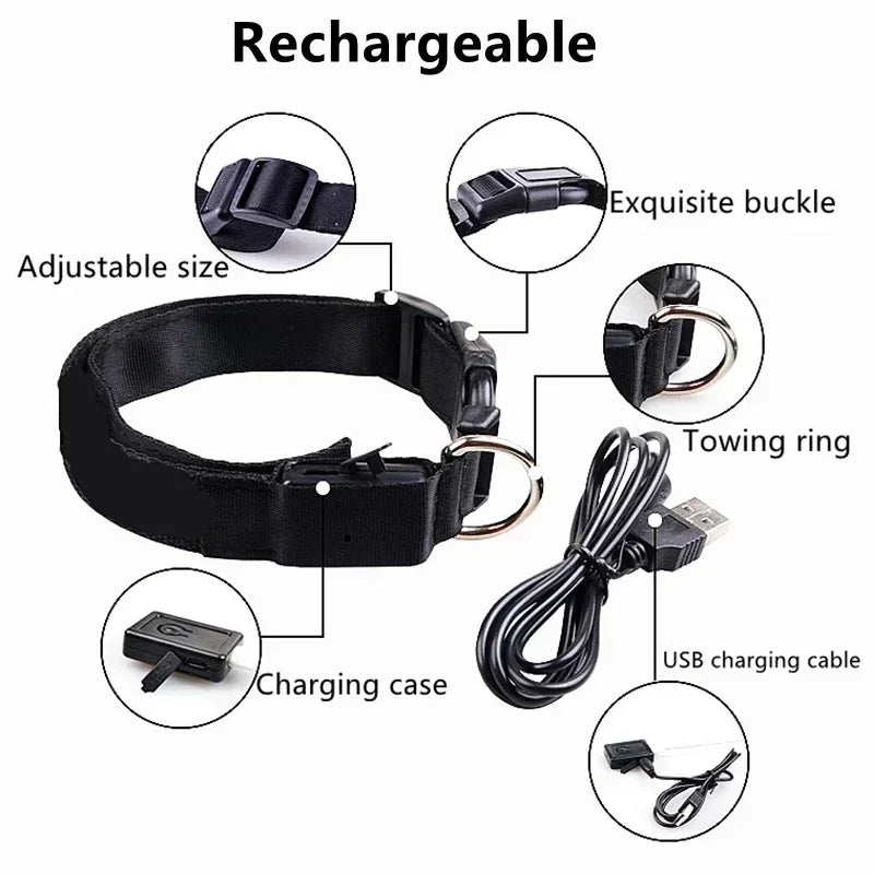 USB Rechargeable LED Dog Collar – Night Visibility & Anti-Lost Safety Harness