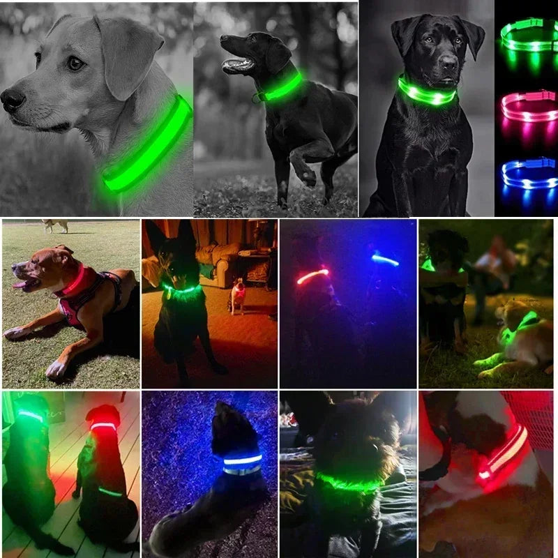 USB Rechargeable LED Dog Collar – Night Visibility & Anti-Lost Safety Harness